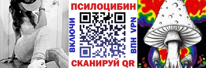 продажа наркотиков  Енисейск  Галлюциногенные грибы Cubensis 